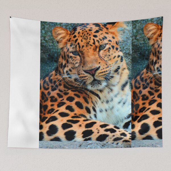 Item preview, Amur Leopard ~ A Solemn Portrait designed and sold by shutterbug2010.