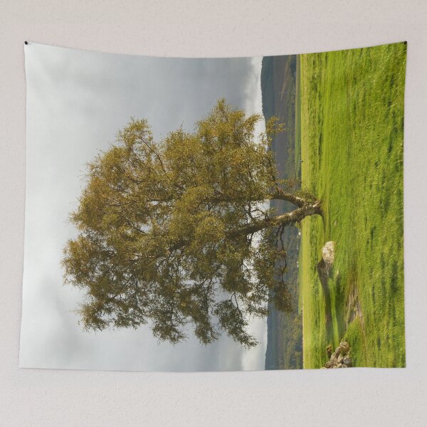 Item preview, Single Tree designed and sold by Vicki Spindler (VHS Photography).