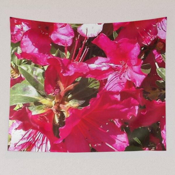 Item preview, Azalea in full bloom designed and sold by Ellen Turner.