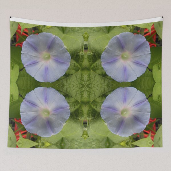 Artikelvorschau, Hellblauer Morning Glory entworfen und verkauft von OrangeEden.