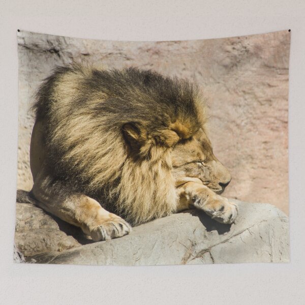 Aperçu de l'œuvre Lazy Lion  créée et vendue par kaianni.