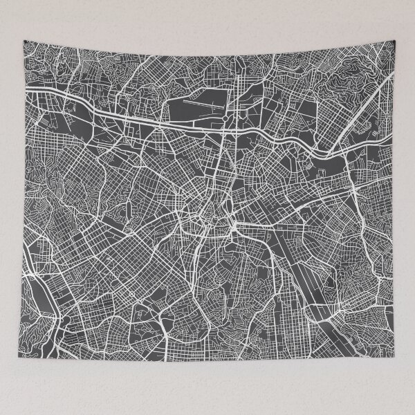 Item preview, Sao Paulo Map, Brazil - Gray designed and sold by MainStreetMaps.