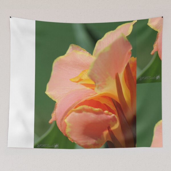 Item preview, Dwarf Canna Lily named Corsica designed and sold by JMcCombie.