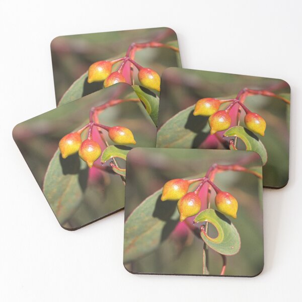 Item preview, Eucalyptus Not Lemons  designed and sold by Joy Watson - Natural Light Photography .