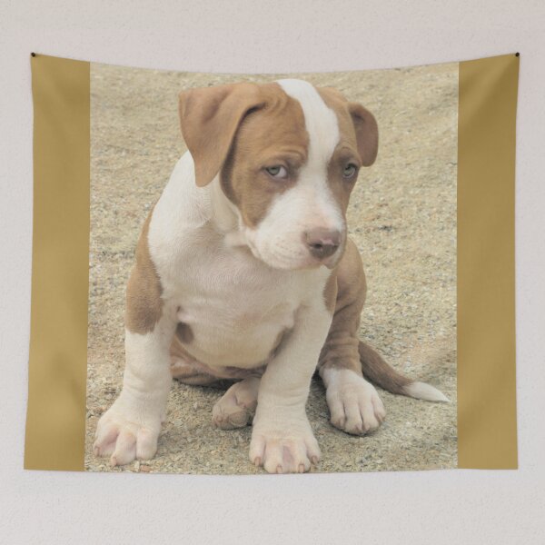 Item preview, I Don't Think So! designed and sold by Ginny York.