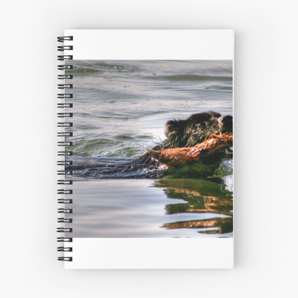 Item preview, Go Fetch!! designed and sold by Larry Trupp.