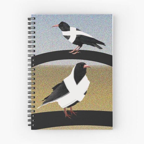 Item preview, Cornish Choughs on the Beach designed and sold by colemanco.