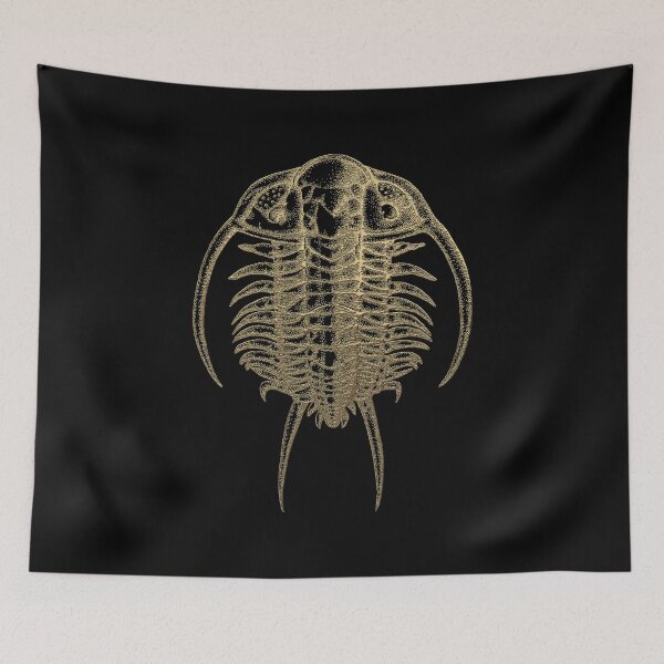 Item preview, Fossil Record - Golden Trilobite on Black #2 designed and sold by Serge Averbukh Art Studio.