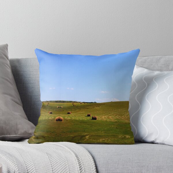 Item preview, If you're not from the Prairie designed and sold by Larry Trupp.