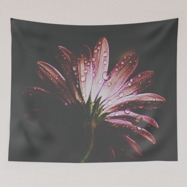 Item preview, looking back designed and sold by Ingrid Beddoes Photography.