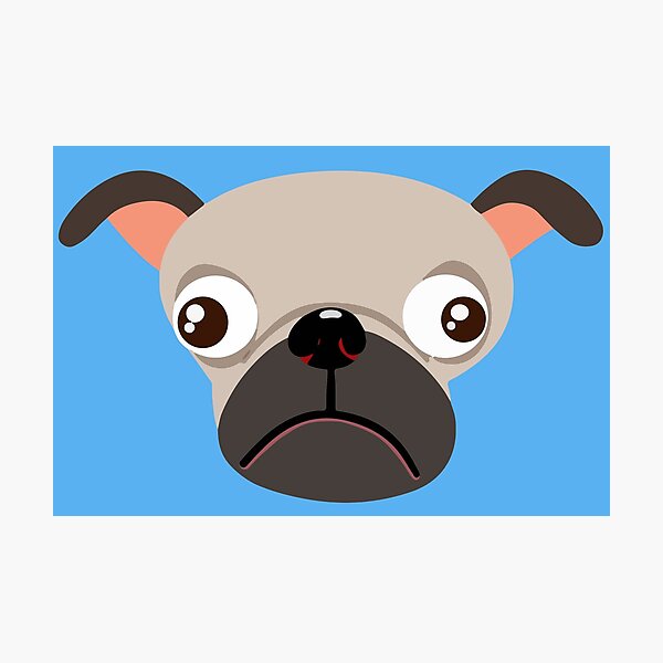 Pug Photographic Print