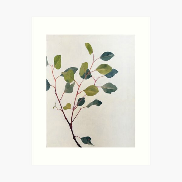 Eucalyptus Sprig Art Print