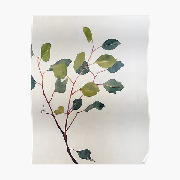 Eucalyptus Sprig Poster