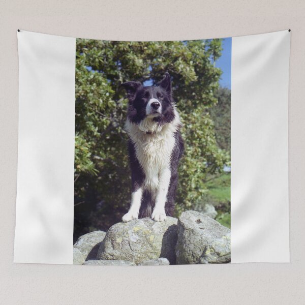 Item preview, Noble Indy designed and sold by Michael Haslam.