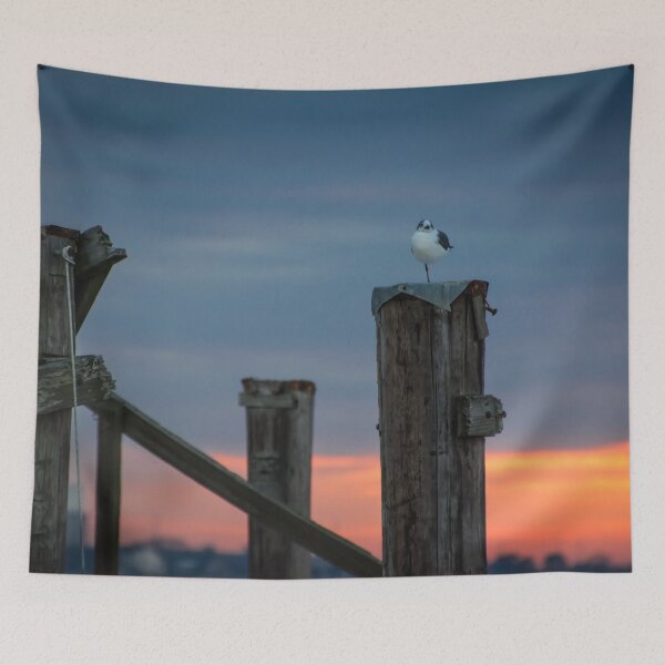 Item preview, Balancing Act designed and sold by AhArtography.