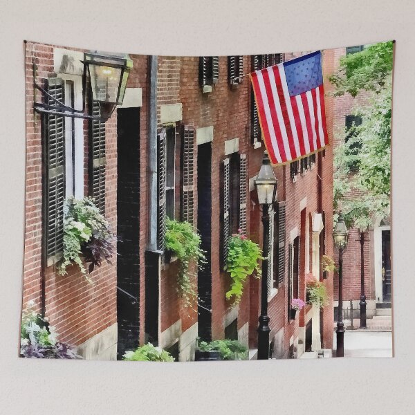Item preview, Boston MA - Acorn Street designed and sold by Susan Savad.