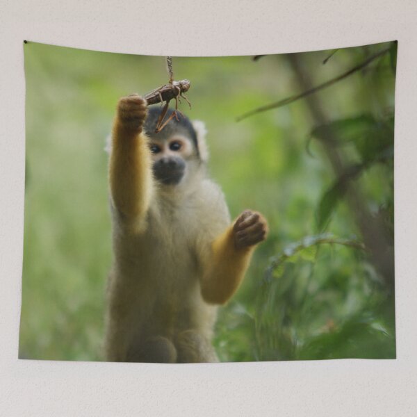 Item preview, What have we here... designed and sold by Lindie Allen.