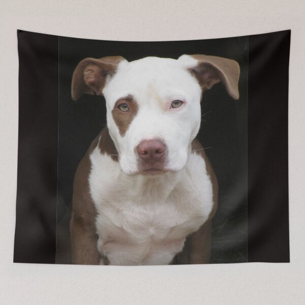 Item preview, The Beautiful Dottie designed and sold by Ginny York.