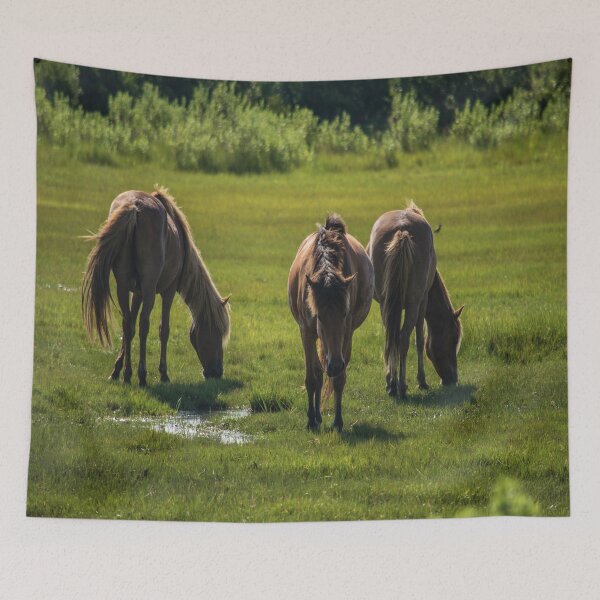 Item preview, Assateague Adventure Tour Series - 4 designed and sold by sarahshanely.