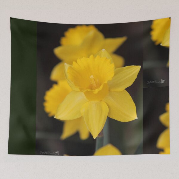 Item preview, Daffodil named Exception designed and sold by JMcCombie.