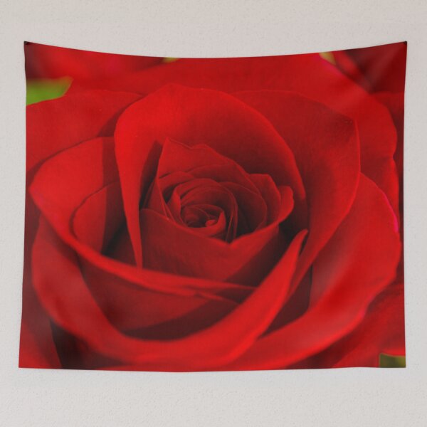 Item preview, Soft Red Rose designed and sold by kaianni.