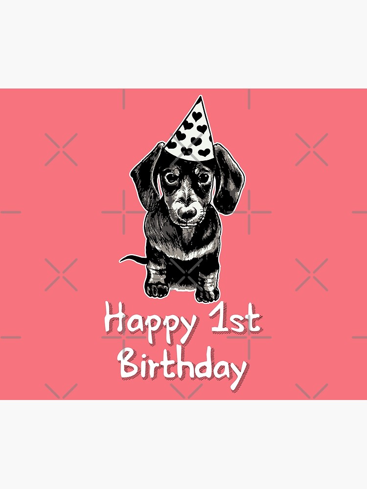 happy first birthday dog