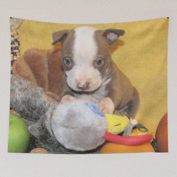Item preview, Uno Gets The Turkey !! designed and sold by Ginny York.