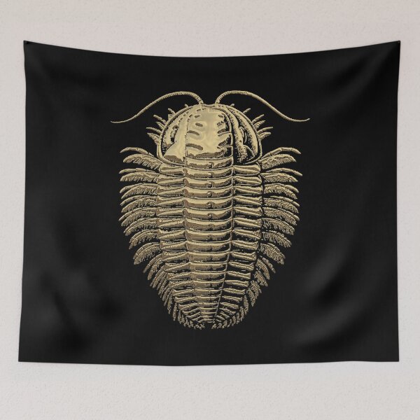 Item preview, Fossil Record - Golden Trilobite on Black #1 designed and sold by Serge Averbukh Art Studio.