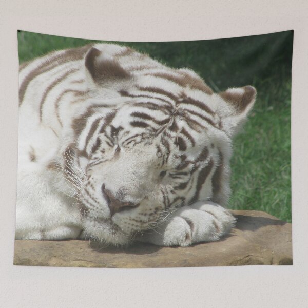 Item preview, Sleep Tight Mighty Kahn ~ designed and sold by Ginny York.