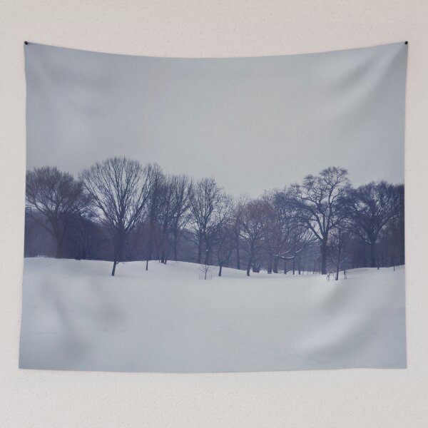 Item preview, Snow in Prospect Park designed and sold by Kameron Walsh.