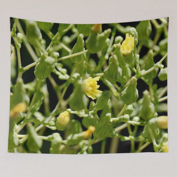 Item preview, Garden Bloom designed and sold by umeimages.