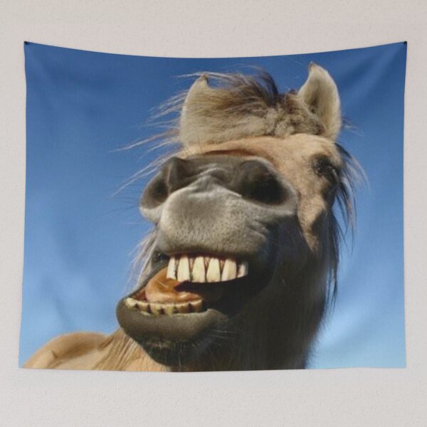 Item preview, Horsey Smile designed and sold by griffingphoto.