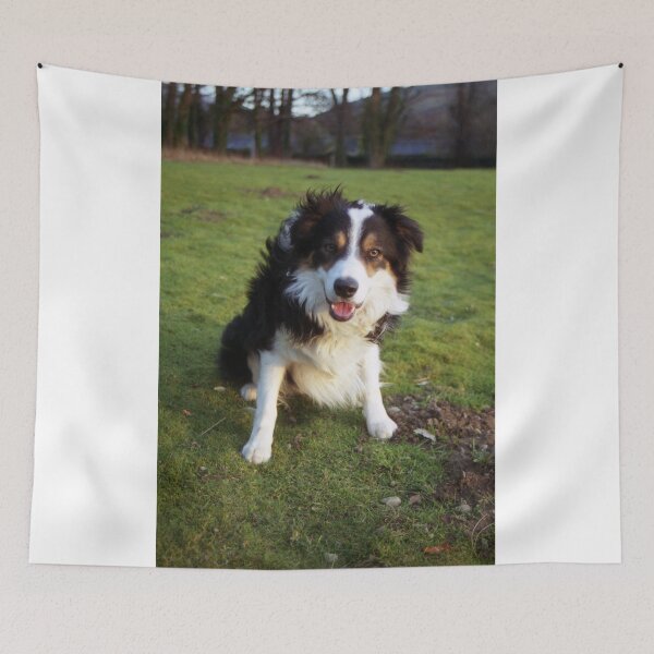 Item preview, Sweet Laddie  designed and sold by Michael Haslam.