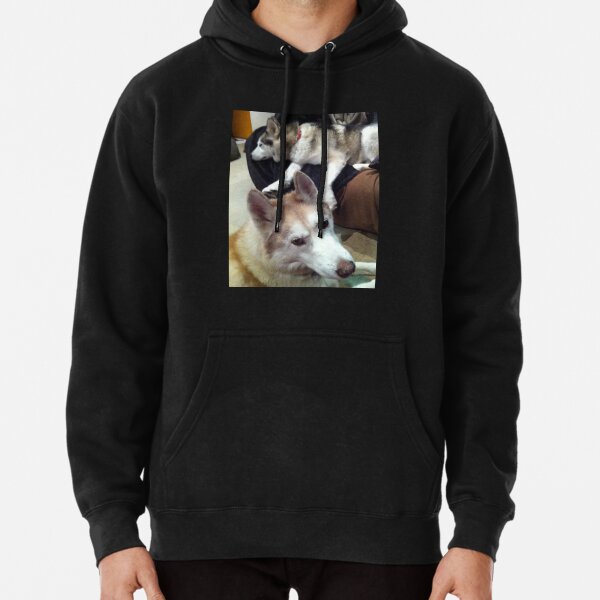 The Other Dog Is Up To Something Pullover Hoodie