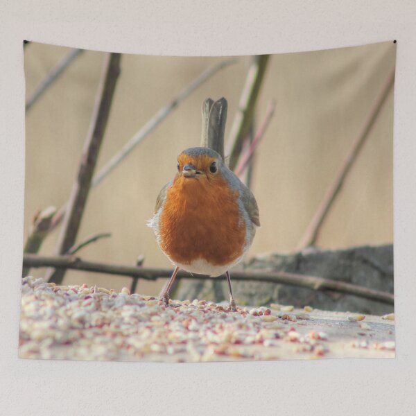 Item preview, Robin designed and sold by Vicki Spindler (VHS Photography).