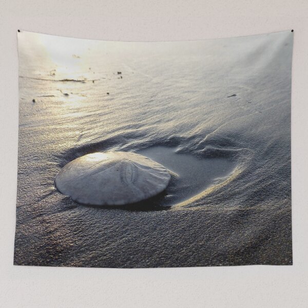 Item preview, Sand Dollar designed and sold by nancyjcreates.