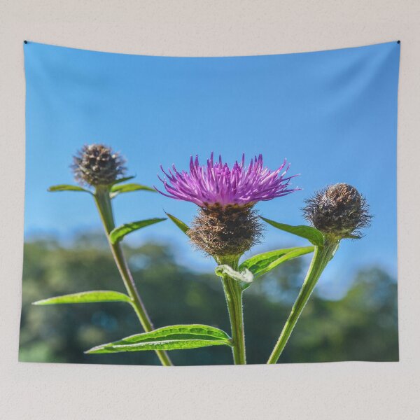 Item preview, Thistle designed and sold by S-Shadowman.