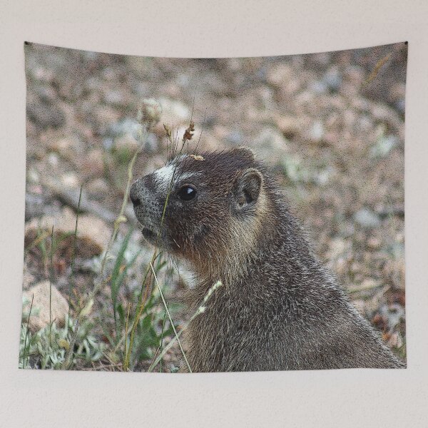 Item preview, Rocky Mountain Marmot designed and sold by mokacat.