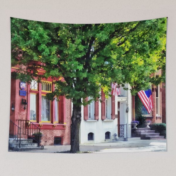 Item preview, Harrisburg PA - Quiet Harrisburg Street designed and sold by Susan Savad.