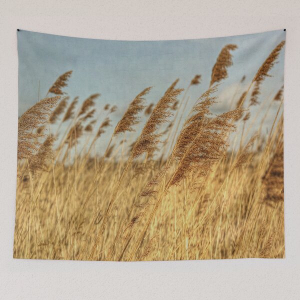 Item preview, Feeling That Breeze designed and sold by Vicki Spindler (VHS Photography).