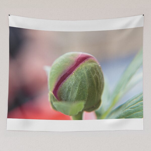 Item preview, Bud of a Peony/Pfingstrosen designed and sold by pASob-dESIGN.