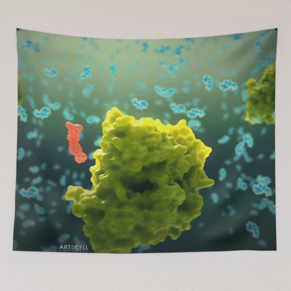 Item preview, Acetylcholinesterase Protein designed and sold by John  Liebler.
