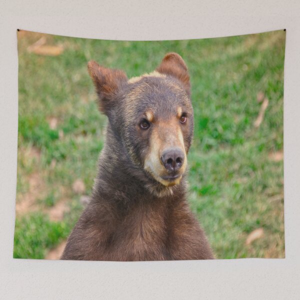 Item preview, Rexburg Idaho - Watching From A Distance designed and sold by IMAGETAKERS.