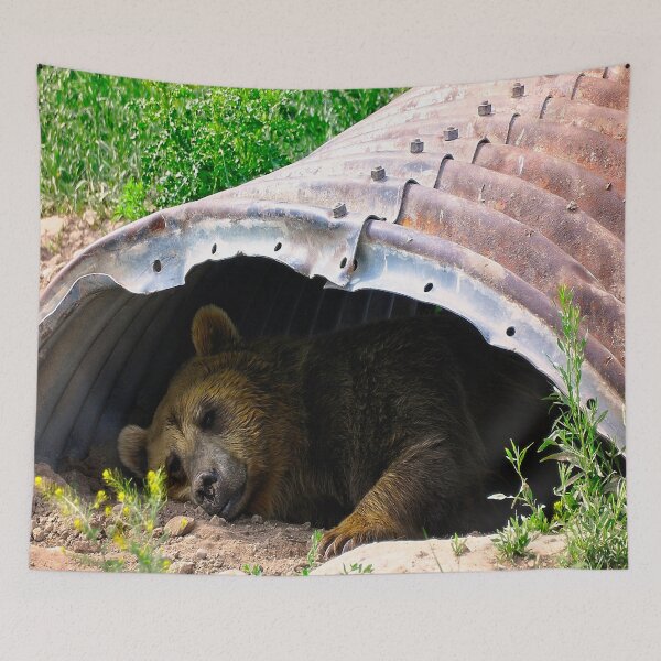 Item preview, Rexburg Idaho - Bear Time designed and sold by IMAGETAKERS.