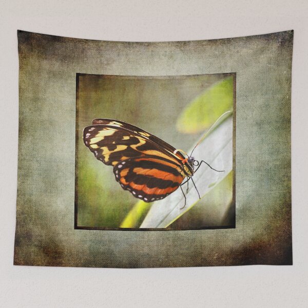 Item preview, Monarch Beauty designed and sold by NaturesSol.