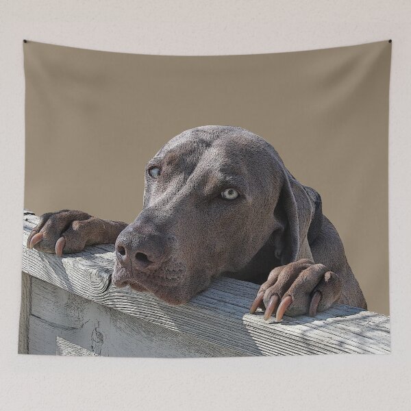 Item preview, Friendly Neighbourhood Weimaraner designed and sold by mokacat.