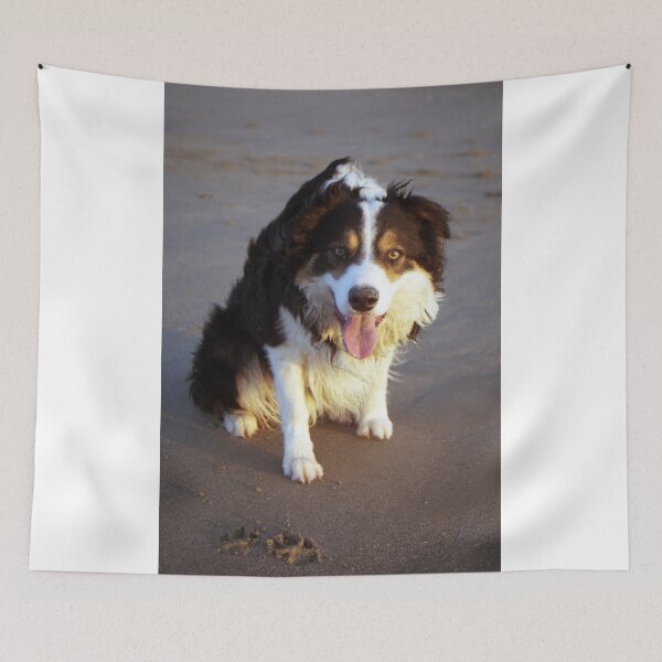 Item preview, My lad Laddie. designed and sold by Michael Haslam.
