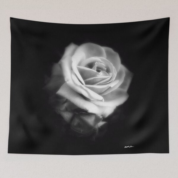 Item preview, Pink Roses in Anzures 2 Dark designed and sold by TravelPhotoArt.