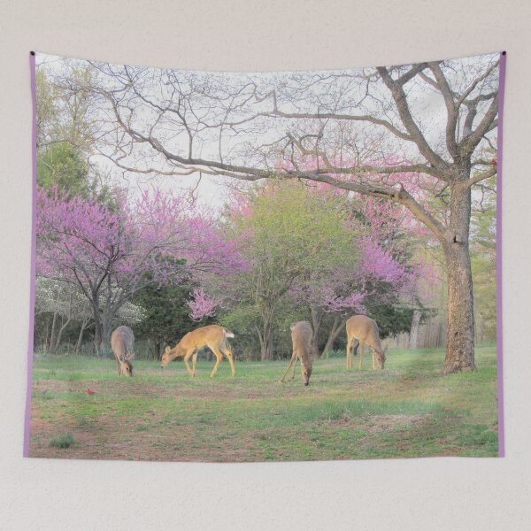 Item preview, Early Spring Morning designed and sold by Ginny York.