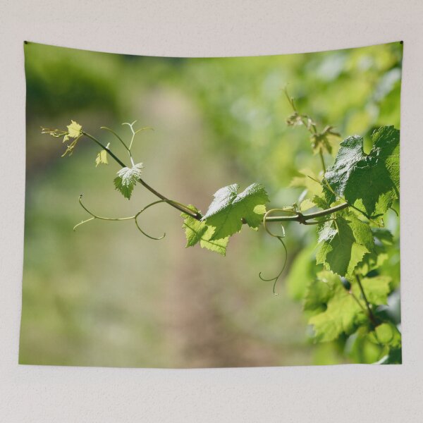 Item preview, The Vine designed and sold by umeimages.